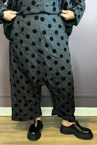 Iguana Pant