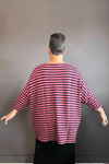 Rhubarb Polar Fleece Pullover
